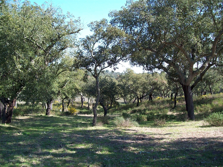 2009_portugal 214